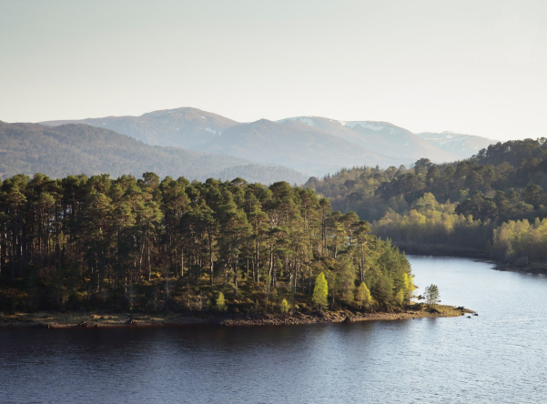 Wide Final Loch Image