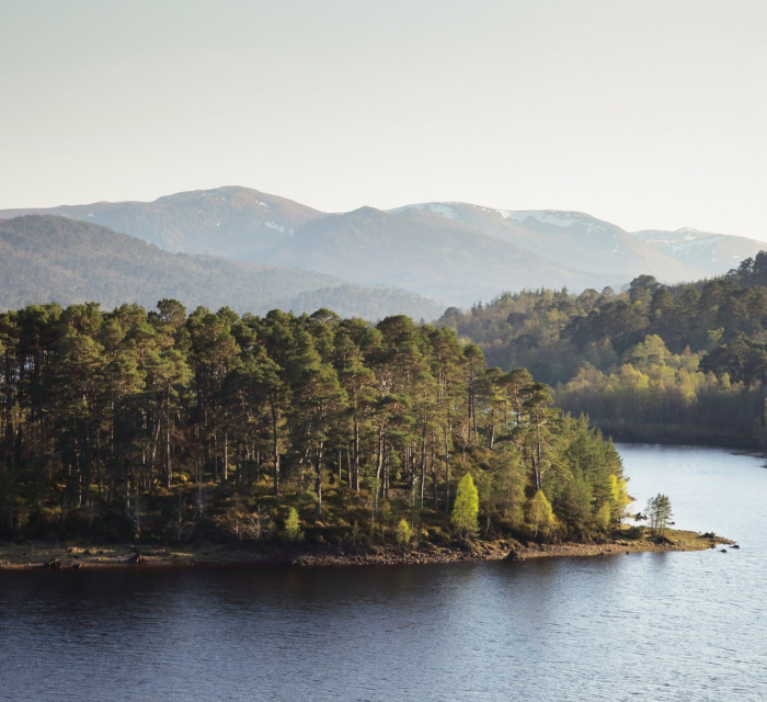 Wide Final Loch Image