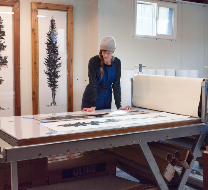 Dinaavila Kellimacconnell 16