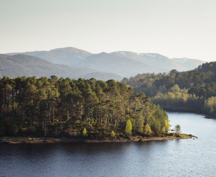Wide Final Loch Image