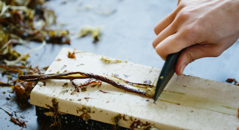 140215 Ane Hanji 046