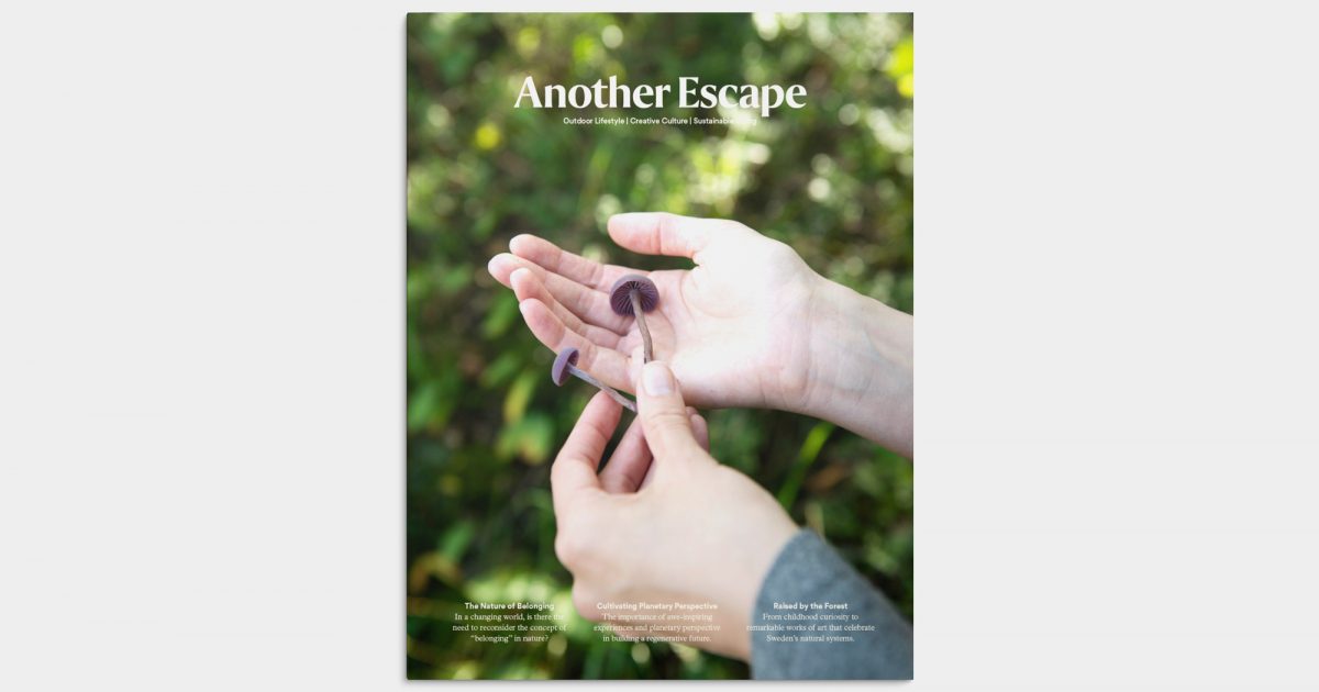 Another Escape | Volume Thirteen