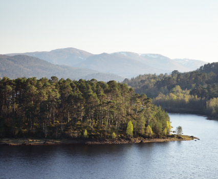Wide Final Loch Image